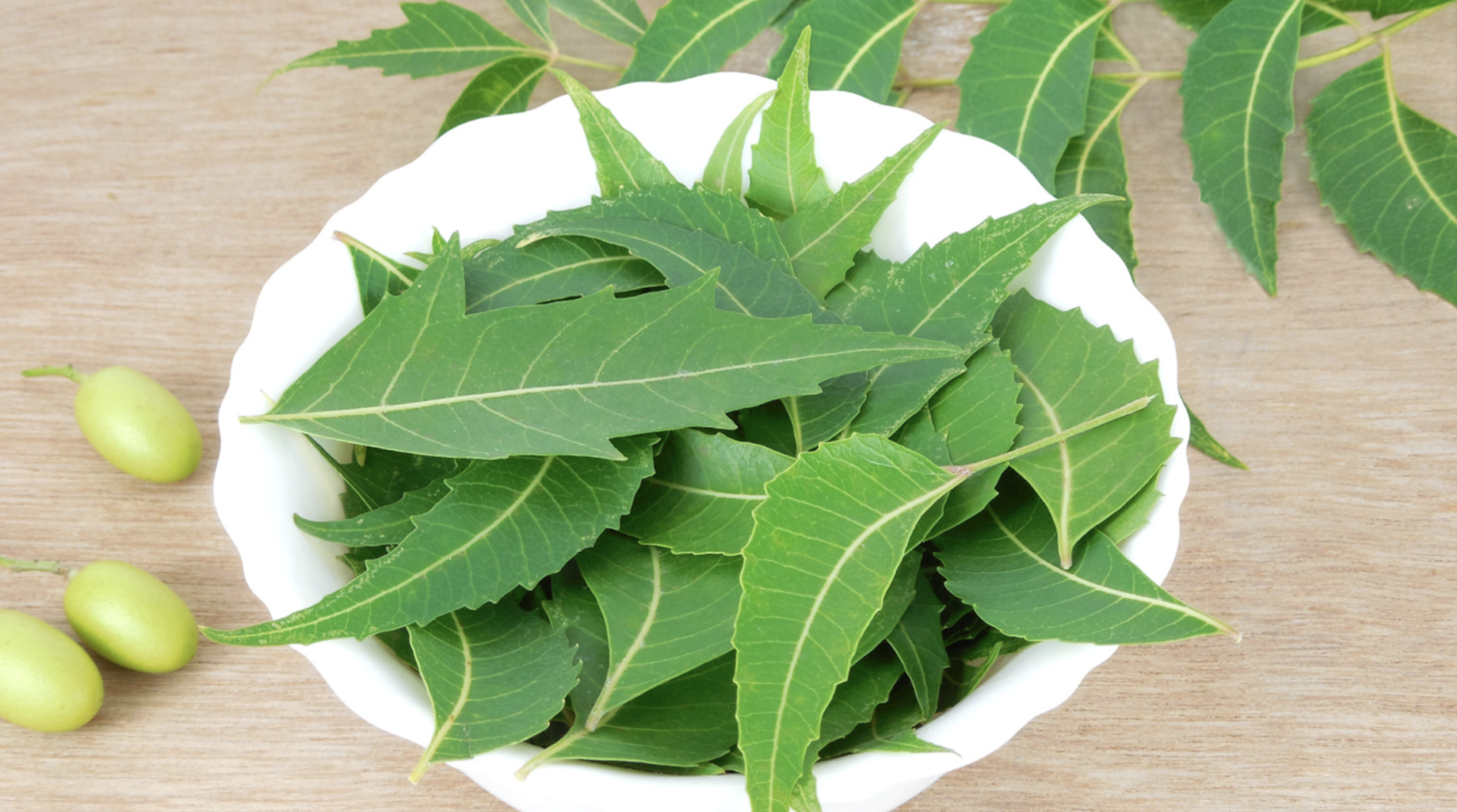 Unlocking the Power of Neem: An Ayurvedic Skincare Secret