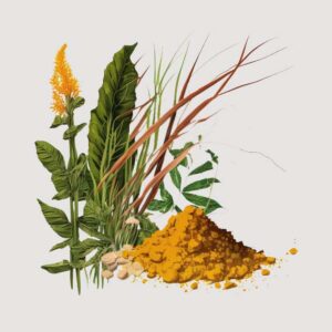 Vetiver and Wild Turmeric